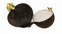 Редька черная, кг